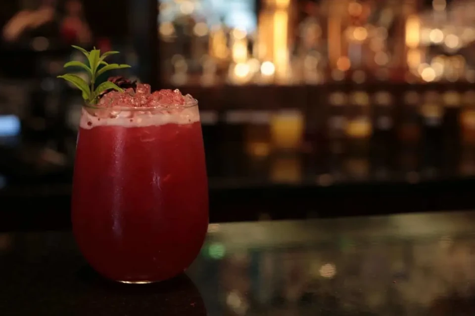Hibiscus cocktail