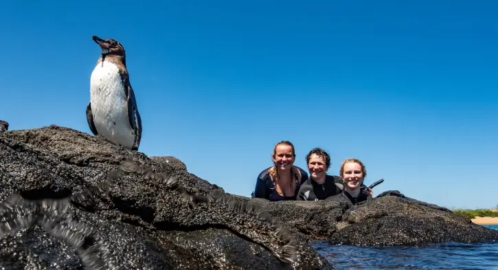 Huéspedes de Casa Gangotena con un pingüino en la Isla Bartolomé.