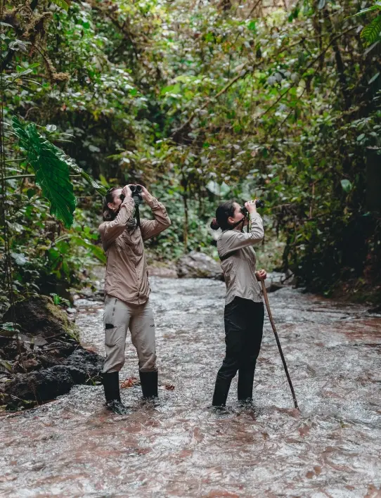 Explorers observing nature during a Casa Gangotena tour at Mashpi Lodge.