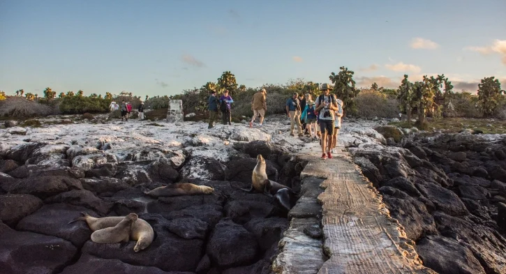 Visitantes que exploran la isla South Plaza en un recorrido por la Casa Gangotena, con leones marinos descansando en primer plano.