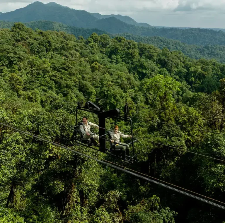 Guests enjoying aerial views of lush Mashpi forest on a unique sky tram.