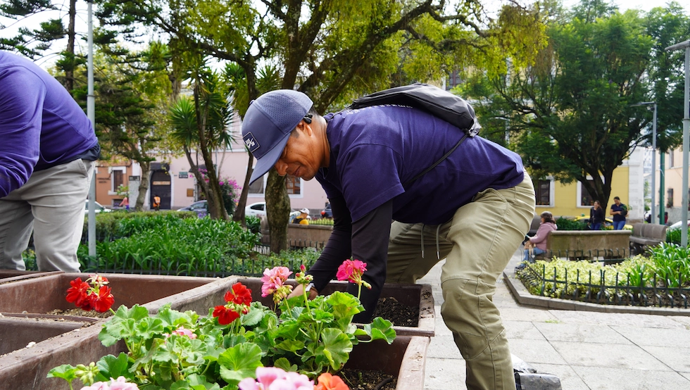 Cultivating Community Beauty